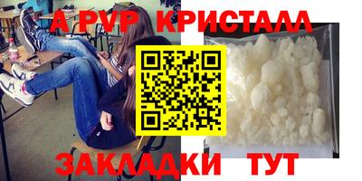 стафф Гагарин