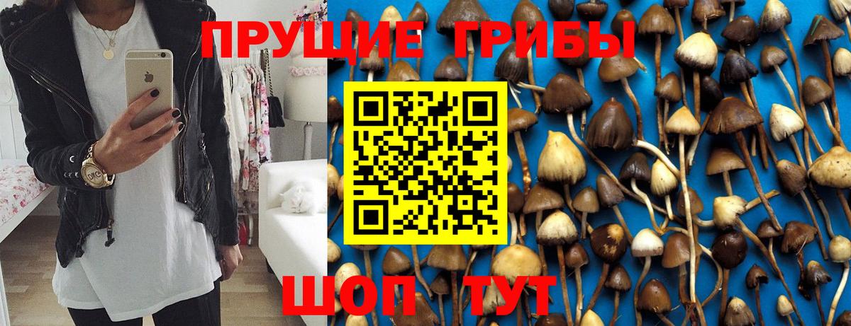 наркота  Вход с VPN  Надым  Псилоцибиновые грибы Psilocybe 